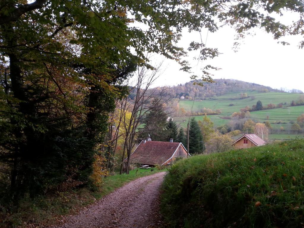 Giteovosges La Croix-aux-Mines Eksteriør billede