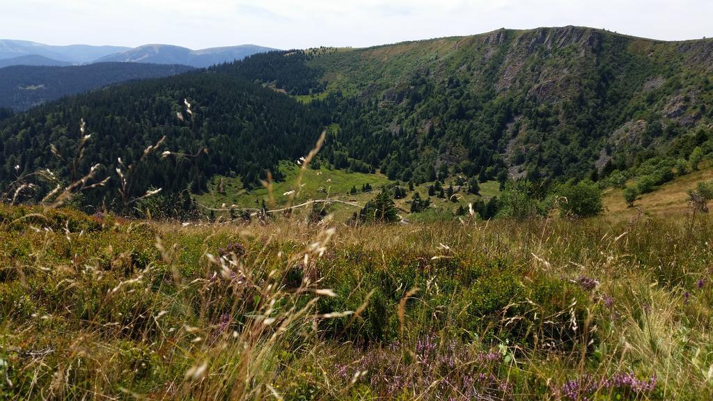 Giteovosges La Croix-aux-Mines Eksteriør billede